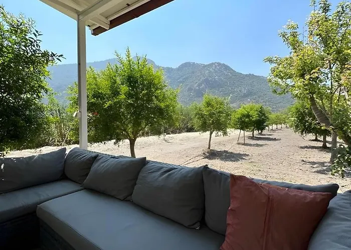 Cabrece Проживание в семье