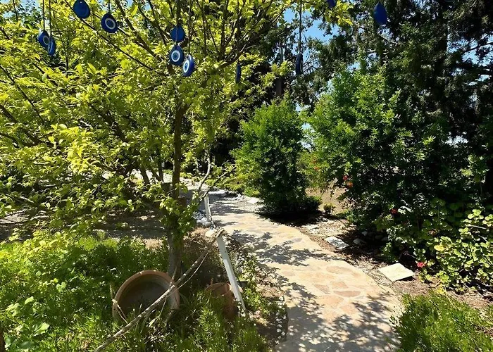 Проживание в семье Cabrece *